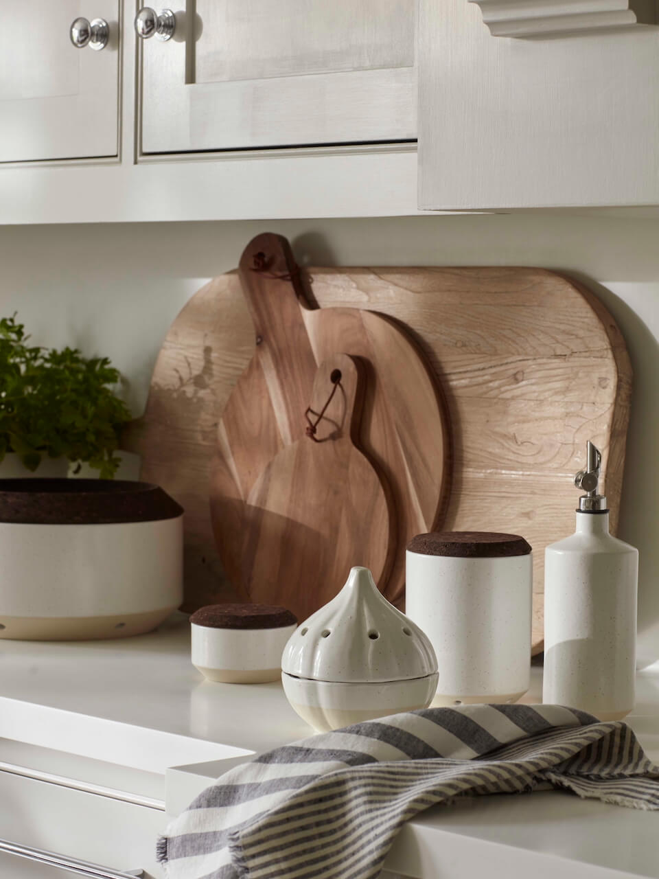 Nova White Ceramic Garlic Canister